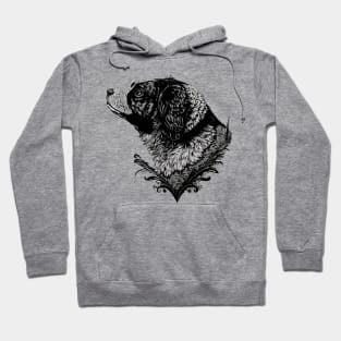 Dog Watercolor Hoodie